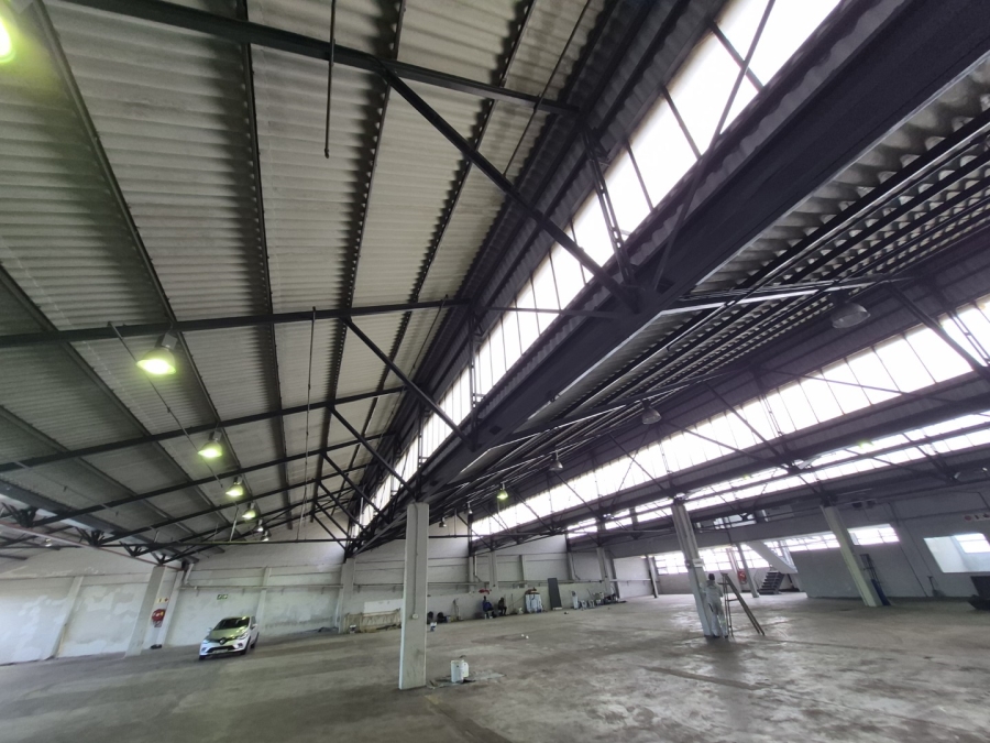 To Let Commercial Property for Rent in Paarden Eiland Western Cape